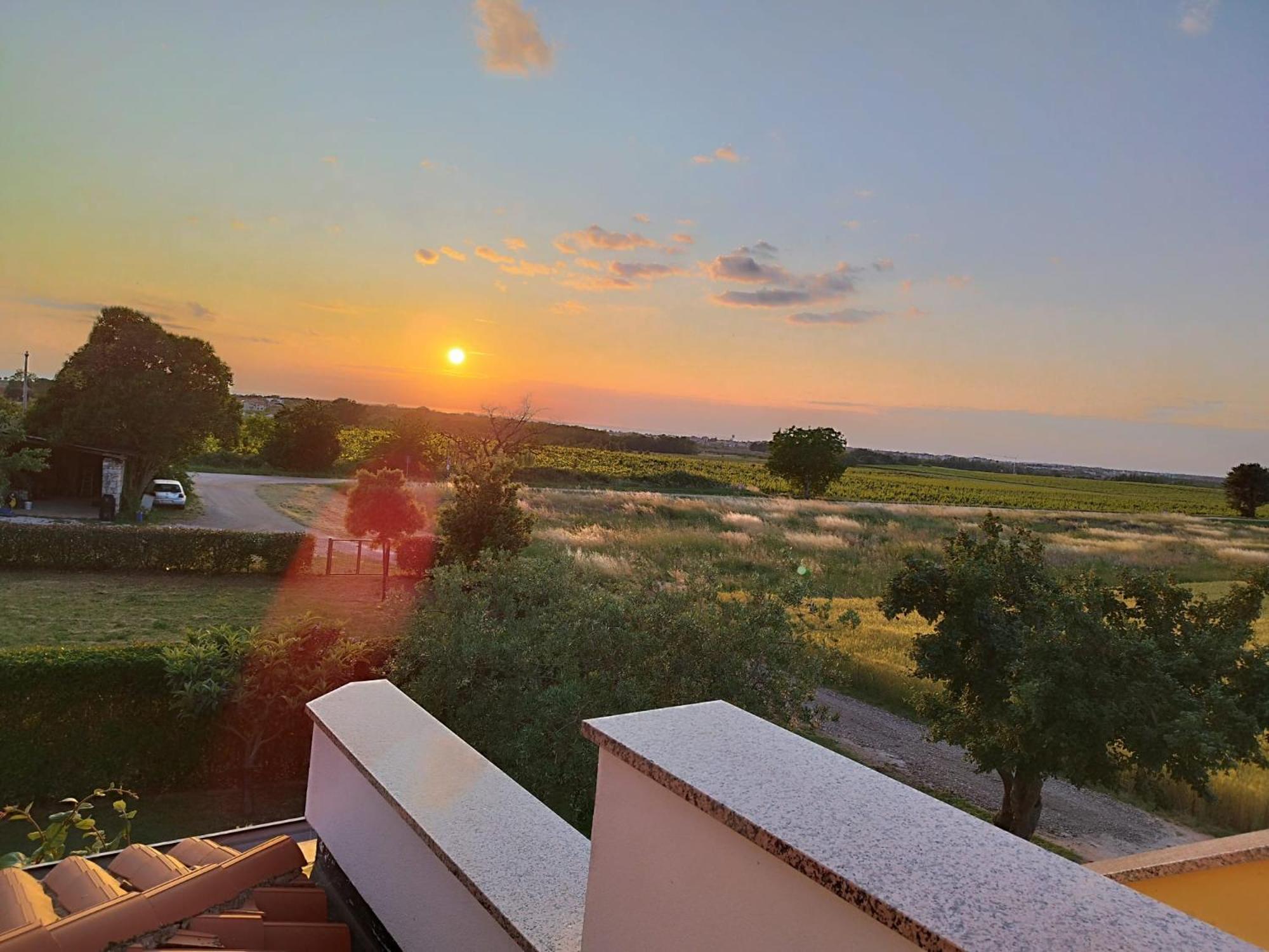 Nika's Sea View Oasis