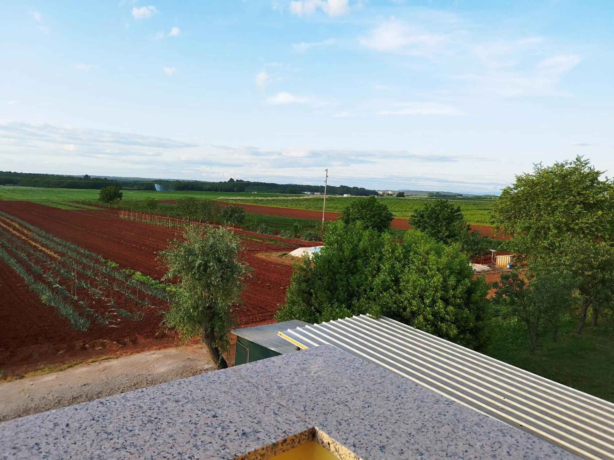 Nika's Sea View Oasis * Seget (Umag)